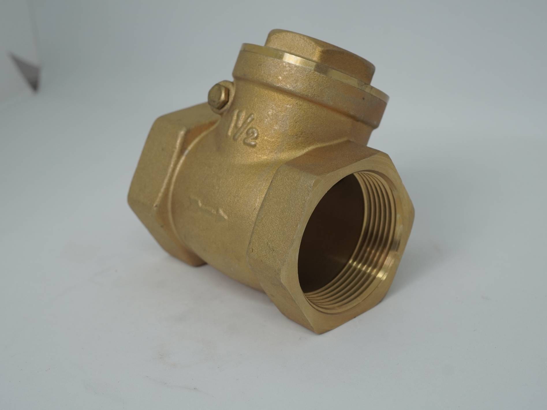 DSC06177 VALVULA DE RETENCION HORIZONTAL - Imagen 1