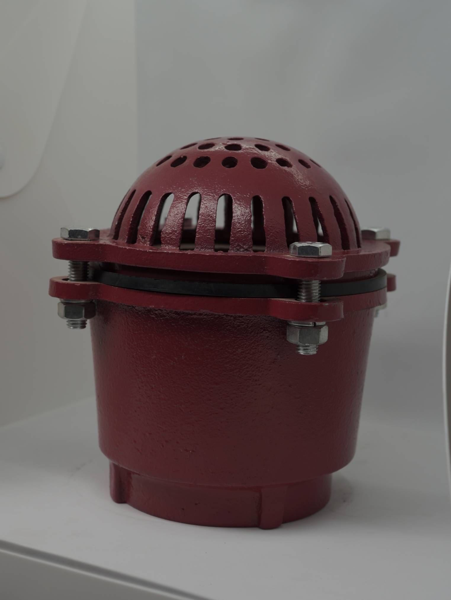 DSC06394 VALVULA DE RETENCION ROJO - Imagen 1