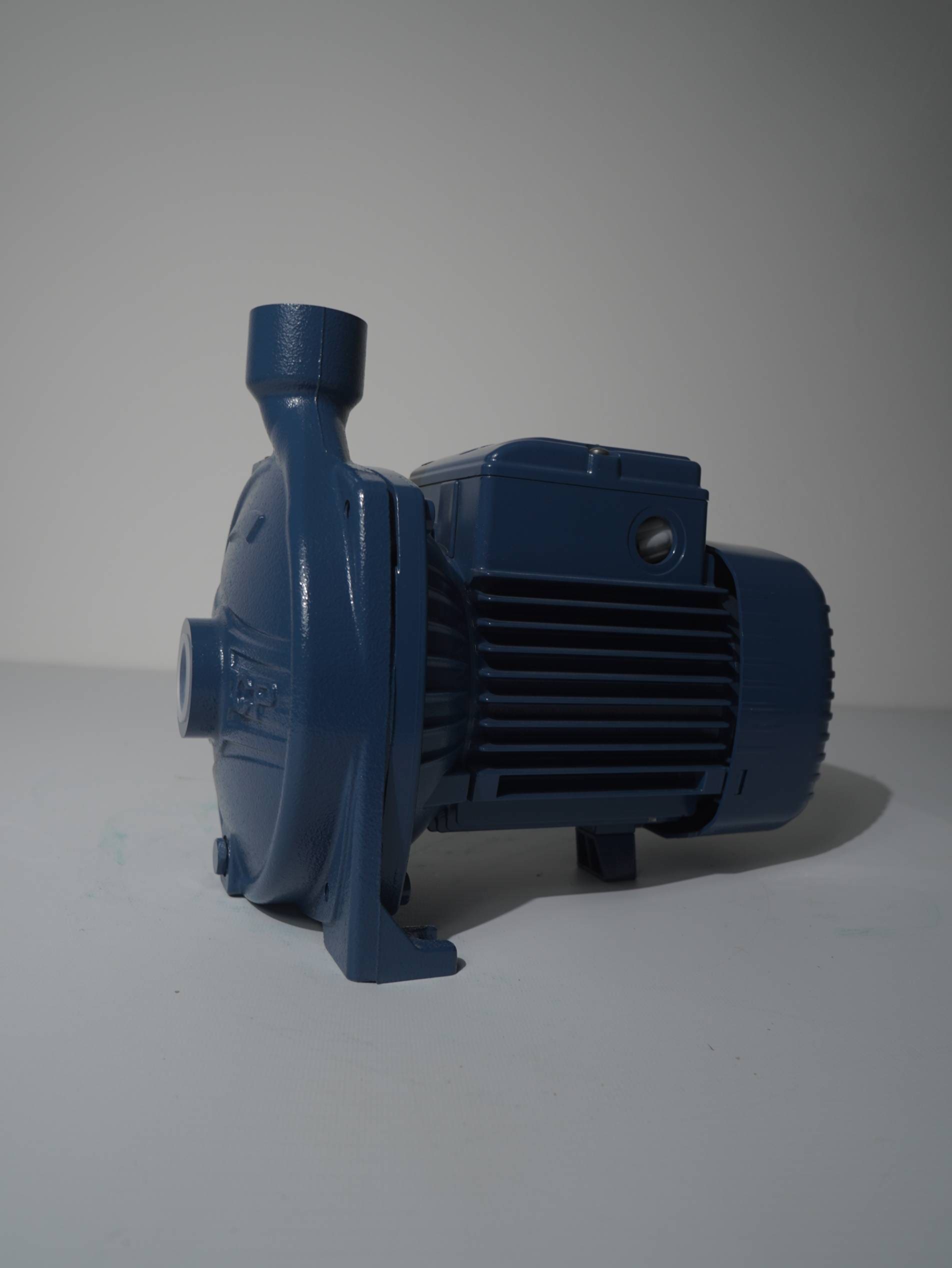 DSC06605 MOTOBOMBA PEDROLLO - Imagen 1